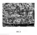 Fig. 07 - METHOD OF SYNTHESIS COBALT ANTIMONIDE NANOSCALE STRUCTURES AND DEVICE