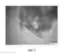 Fig. 08 - METHOD OF SYNTHESIS COBALT ANTIMONIDE NANOSCALE STRUCTURES AND DEVICE