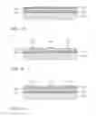 Fig. 04 - Photovoltaic Structure and Solar Cell and Method of Fabrication Employing Hidden Electrode