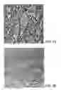 Fig. 06 - LIGHT CONVERSION EFFICIENCY-ENHANCED SOLAR CELL FABRICATED WITH DOWNSHIFTING NANOMATERIAL