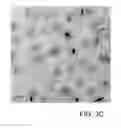 Fig. 07 - LIGHT CONVERSION EFFICIENCY-ENHANCED SOLAR CELL FABRICATED WITH DOWNSHIFTING NANOMATERIAL