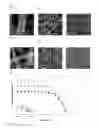 Fig. 09 - Electrolyte-comprising polymer nanofibers fabricated by electrospinning method and high performance dye-sensitized solar cells device using same