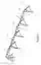 Fig. 02 - Sprinkler height adjustment on an irrigation machine