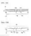 Fig. 43 - Ferroelectric component and manufacturing the same