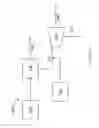 Fig. 14 - System and method for separating solids from fluids