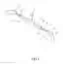 Fig. 02 - EXTENDIBLE CLOTHES HANGER