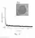 Fig. 06 - Focused analyte spray emission apparatus and process for mass spectrometric analysis