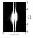 Fig. 07 - Photon induced near field electron microscope and biological imaging system