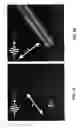 Fig. 08 - Photon induced near field electron microscope and biological imaging system