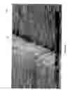 Fig. 06 - Two-terminal nanotube devices and systems and methods of making same