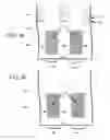 Fig. 06 - Non-volatile FINFET memory device and manufacturing method thereof