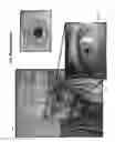 Fig. 49 - METHOD AND APPARATUS FOR VISUAL BIOMETRIC DATA CAPTURE