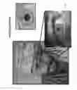 Fig. 49 - METHOD AND APPARATUS FOR AUDIO BIOMETRIC DATA CAPTURE