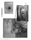Fig. 49 - HAND-WORN CONTROL DEVICE IN AN AUGMENTED REALITY EYEPIECE