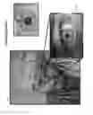 Fig. 49 - EYEPIECE WITH WAVEGUIDE FOR RECTILINEAR CONTENT DISPLAY WITH THE LONG AXIS APPROXIMATELY HORIZONTAL