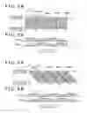 Fig. 06 - Image pickup apparatus that acquires a plurality of viewpoint images