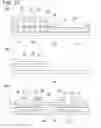 Fig. 14 - DISPLAY PANEL SUBSTRATE AND DISPLAY PANEL