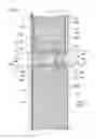 Fig. 08 - Liquid crystal display
