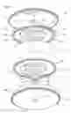 Fig. 02 - Driving member for a timepiece movement