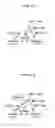 Fig. 11 - Path calculating method, program and calculating apparatus