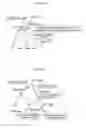 Fig. 12 - Path calculating method, program and calculating apparatus