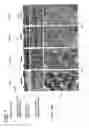 Fig. 02 - Vegetation growth condition analysis method, recording medium on which program is recorded, and vegetation growth condition analyzer