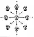 Fig. 01 - Face recognition apparatus and method using plural face images