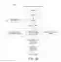 Fig. 37 - Method and apparatus for biometric data capture
