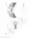 Fig. 47 - Method and apparatus for biometric data capture