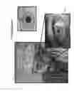 Fig. 49 - Method and apparatus for biometric data capture