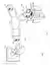 Fig. 02 - Adjusting Radiological Images