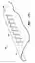 Fig. 09 - Actuatable surface features for wind turbine rotor blades