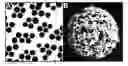 Fig. 01 - Nanocluster compositions and methods