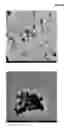 Fig. 37 - Nanocluster compositions and methods