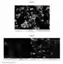 Fig. 45 - Nanocluster compositions and methods