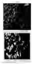 Fig. 50 - Nanocluster compositions and methods