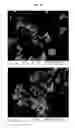Fig. 52 - Nanocluster compositions and methods