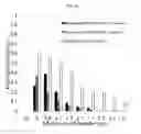 Fig. 53 - Nanocluster compositions and methods