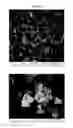 Fig. 55 - Nanocluster compositions and methods
