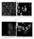 Fig. 64 - Nanocluster compositions and methods