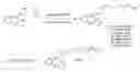 Fig. 01 - Fatty Acid Conjugates of Quetiapine, Process for Making and Using the Same