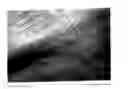 Fig. 07 - STABLE CLEANSER COMPOSITIONS CONTAINING SULFUR