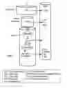 Fig. 02 - EFFECTS OF A DECAFFEINATED GREEN COFFEE EXTRACT ON BODY WEIGHT CONTROL BY REGULATION OF GLUCOSE METABOLISM