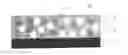 Fig. 01 - PRESSURE-SENSITIVE ADHESIVE TAPE