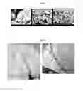 Fig. 09 - Nanoparticle decorated nanostructured material as electrode material and method for obtaining the same