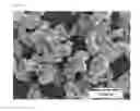 Fig. 02 - LITHIUM MANGANATE PARTICLES FOR NON-AQUEOUS ELECTROLYTE SECONDARY BATTERY, PROCESS FOR PRODUCING THE SAME, AND NONAQUEOUS ELECTROLYTE SECONDARY BATTERY