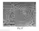Fig. 06 - BIAXIALLY ORIENTED POROUS MEMBRANES, COMPOSITES, AND METHODS OF MANUFACTURE AND USE