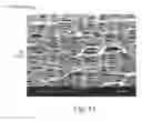 Fig. 09 - BIAXIALLY ORIENTED POROUS MEMBRANES, COMPOSITES, AND METHODS OF MANUFACTURE AND USE