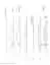Fig. 02 - Oligonucleotides for detecting human papilloma virus in a test sample
