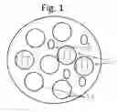 Fig. 02 - Solid Phase Nucleic Acid Extraction From Leukoreduced  Blood
